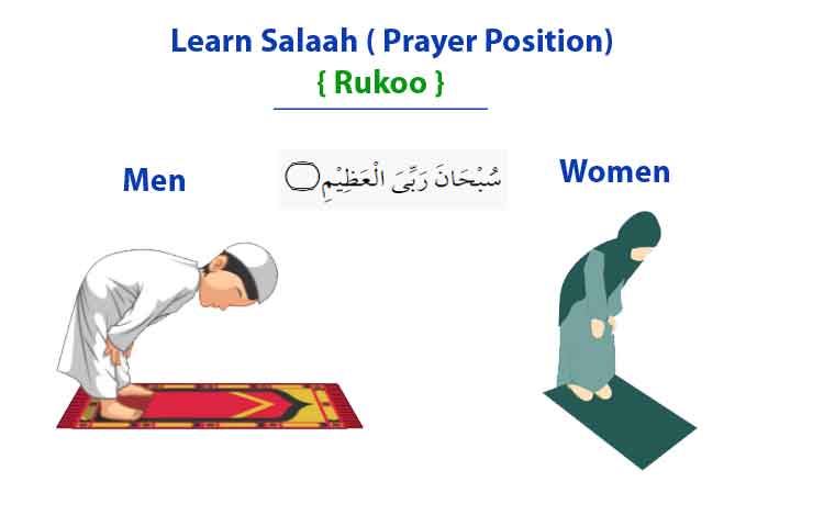 How to Pray Salaah ( Different Position )